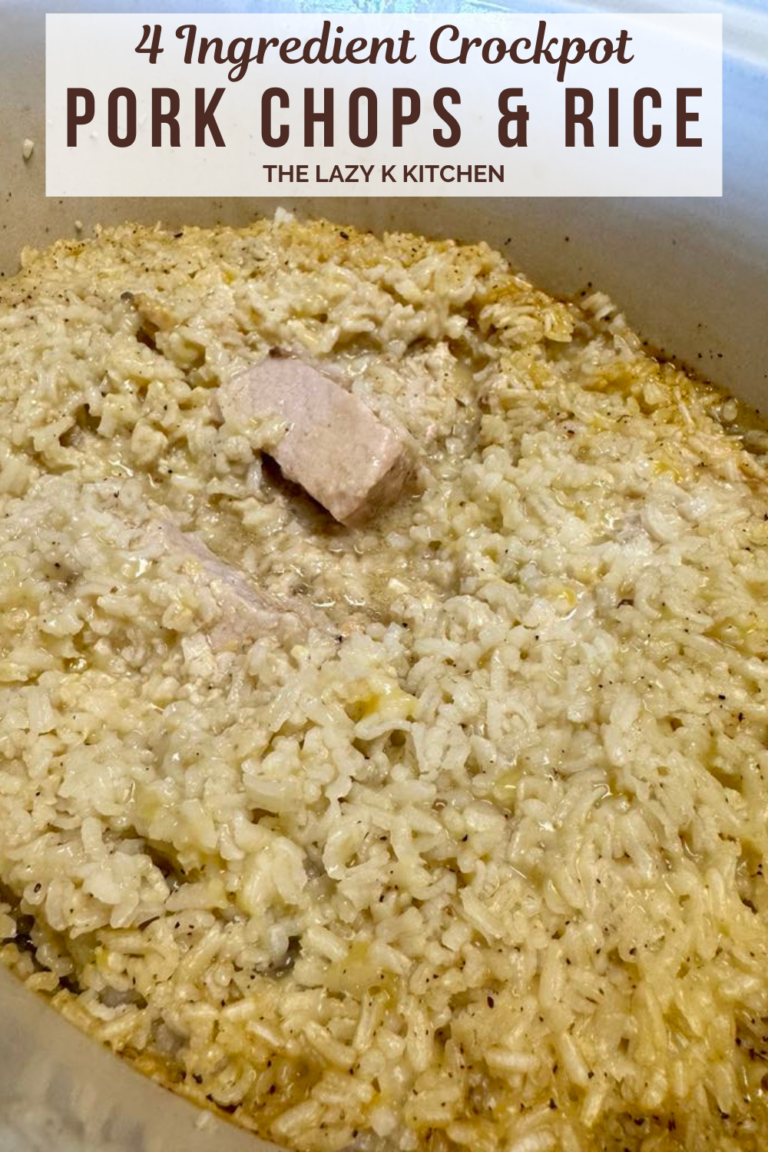 4 Ingredient Crockpot Pork Chops and Rice